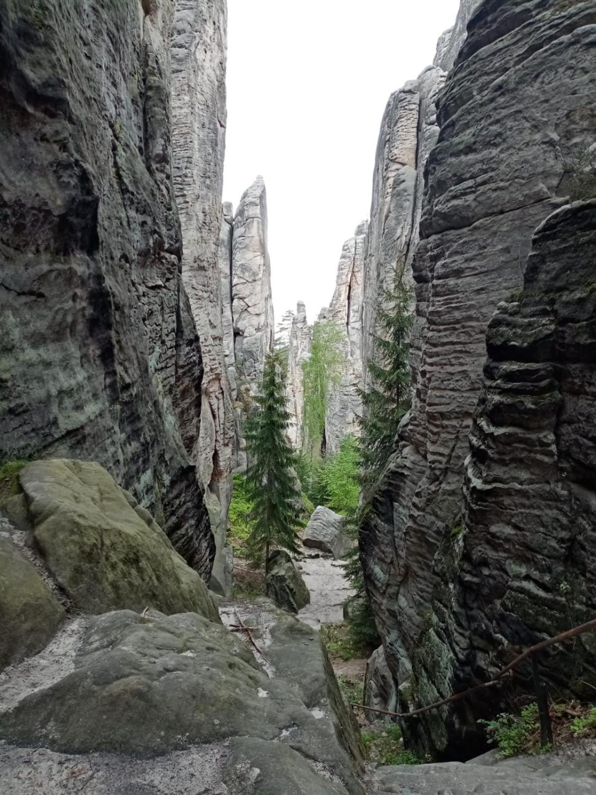Penzion Jura Chřibská エクステリア 写真
