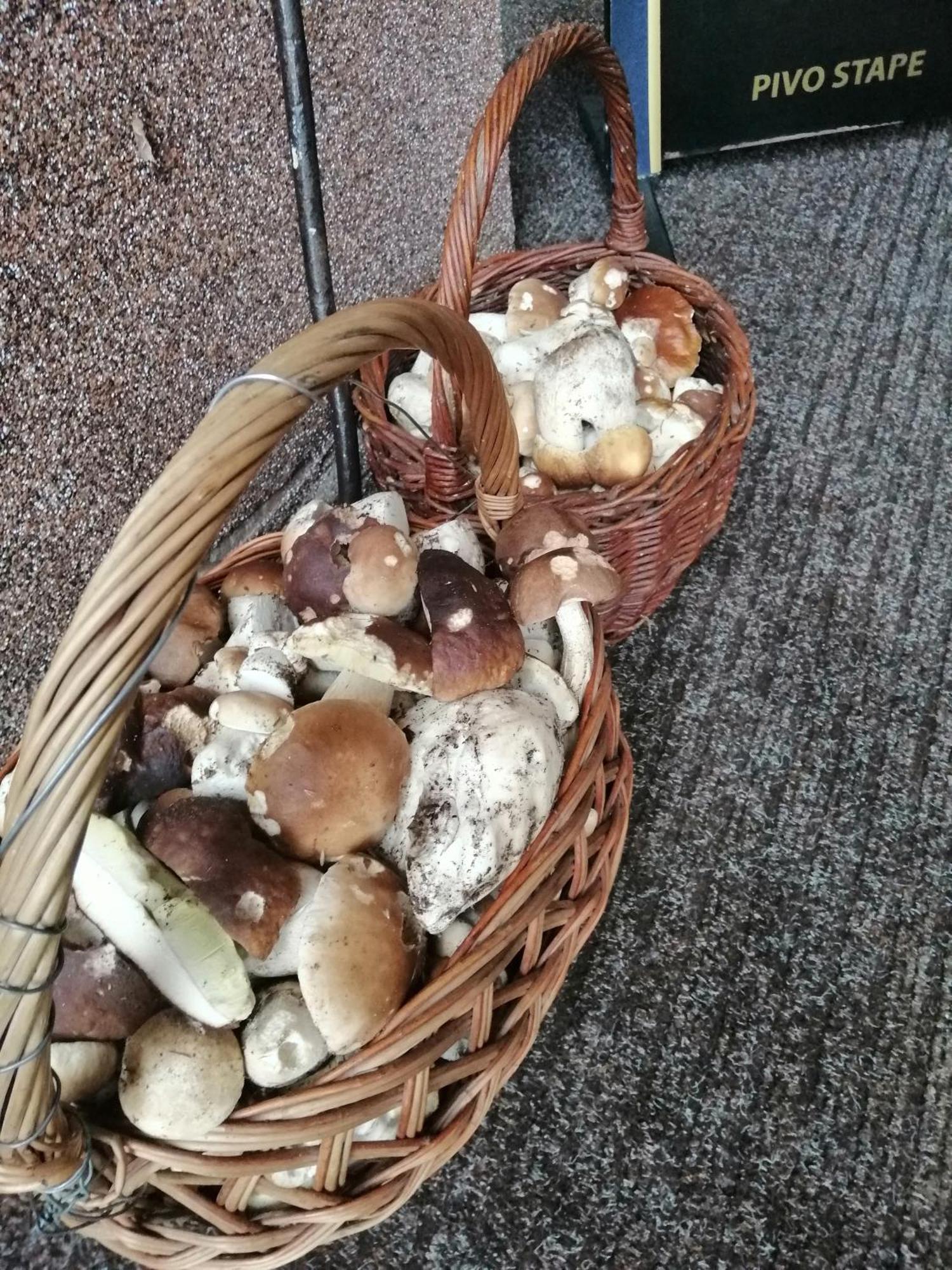 Penzion Jura Chřibská エクステリア 写真
