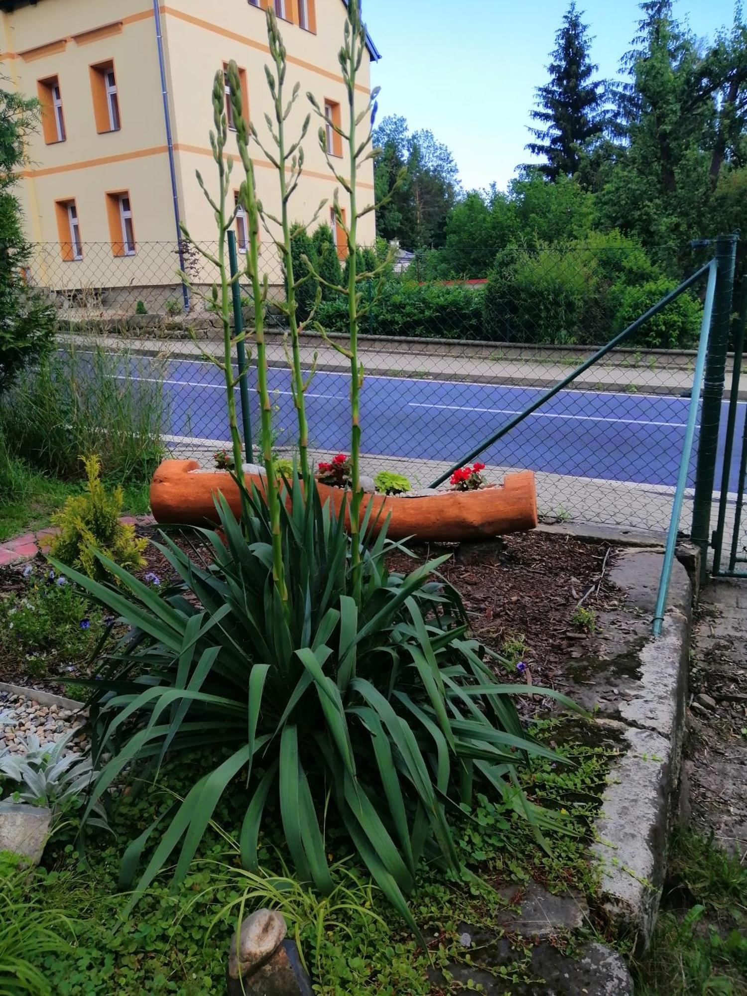 Penzion Jura Chřibská エクステリア 写真